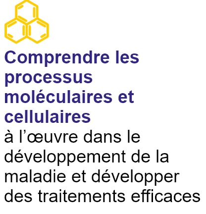 Comprendre les processus moléculaires et cellulaires à l'œuvre dans le développement de la maladie et développer des traitements efficaces.