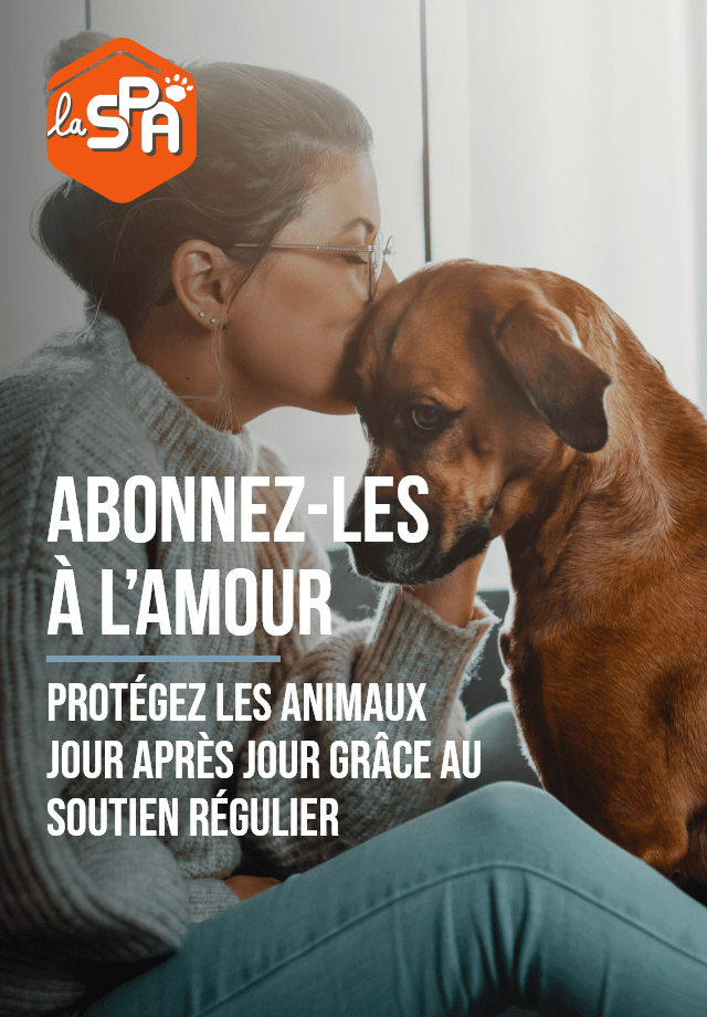 Societe Protectrice Des Animaux Spa Association Protection Animale